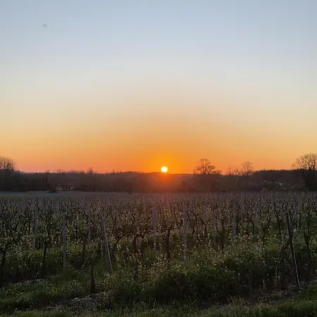 Le Clos Des Vignes *